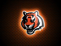 pic for  bengalsgrid NFL